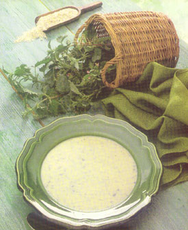 nettle soup