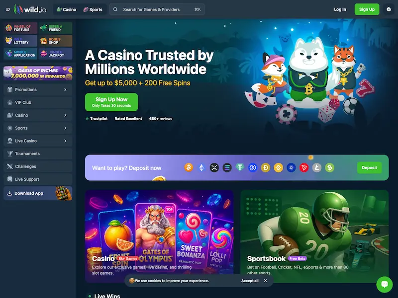 wild io casino homepage
